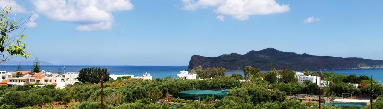 El Greco Studios Agia Marina  ภายนอก รูปภาพ
